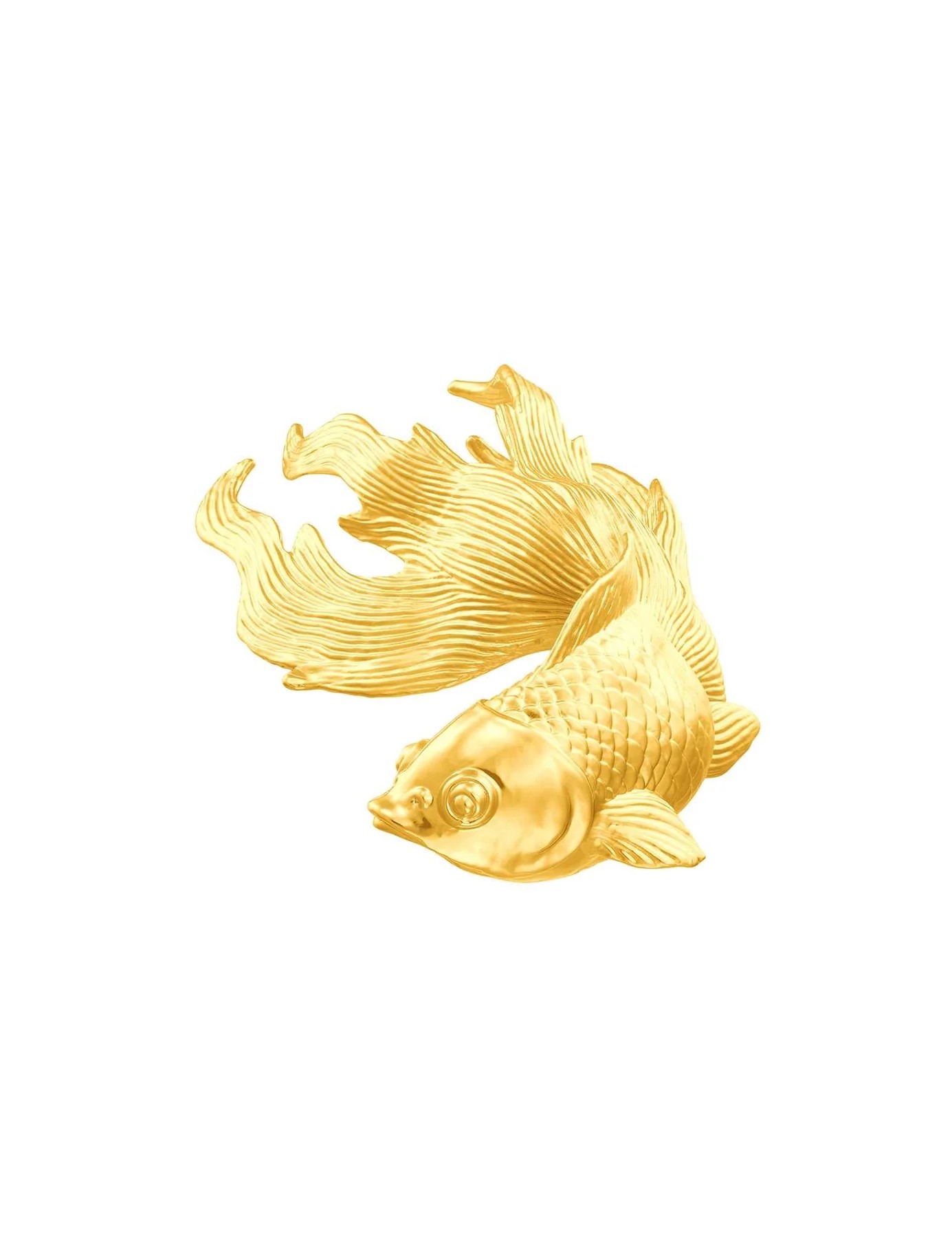related image